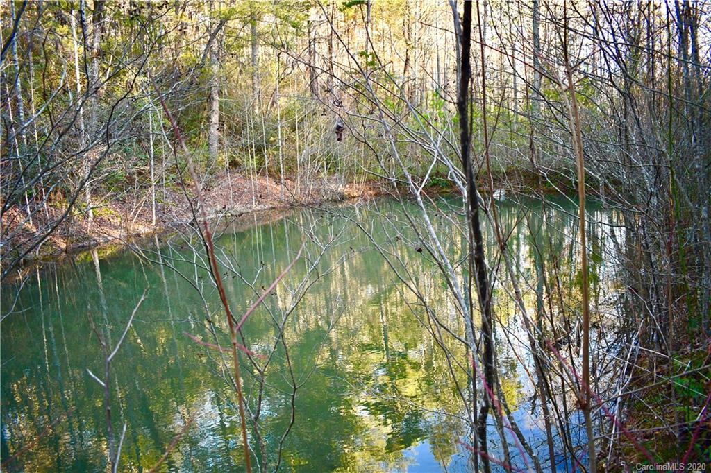 12187 Montford Cove Road Marion NC 28752