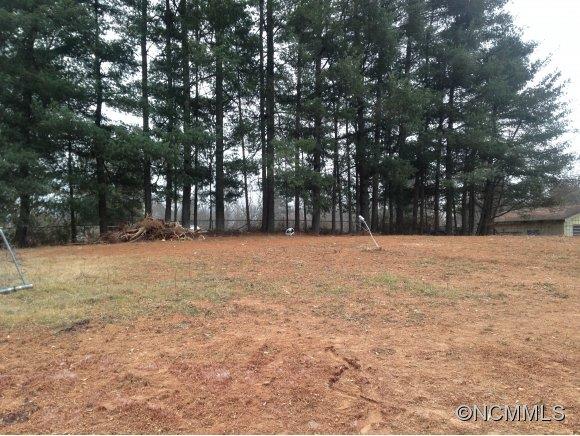 4 Cortland Way Asheville NC 28806