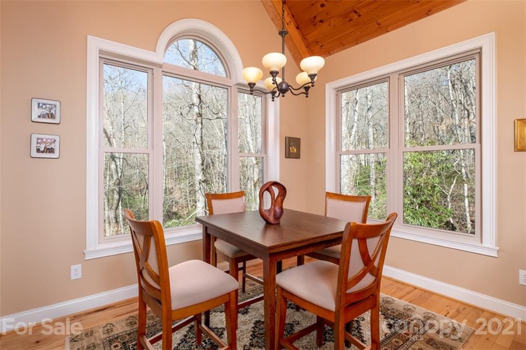 40 Ulvda Court Brevard NC 28712