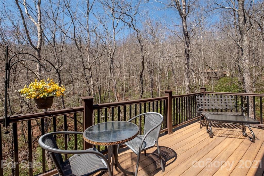 40 Ulvda Court Brevard NC 28712