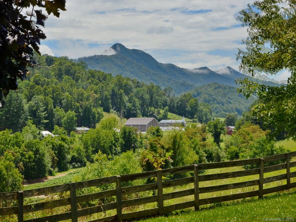 32 Bobwhite Hill Leicester NC 28748