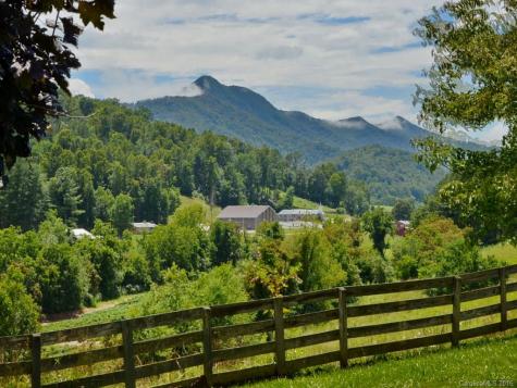 32 Bobwhite Hill Leicester NC 28748