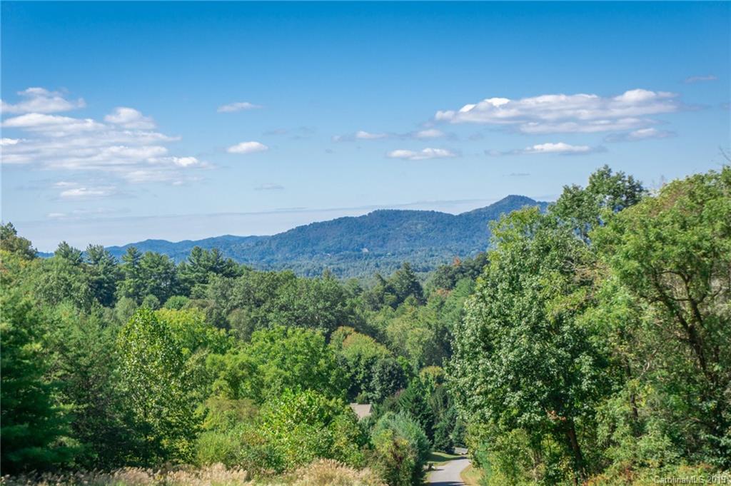 628 Cove Creek Lane Weaverville NC 28787