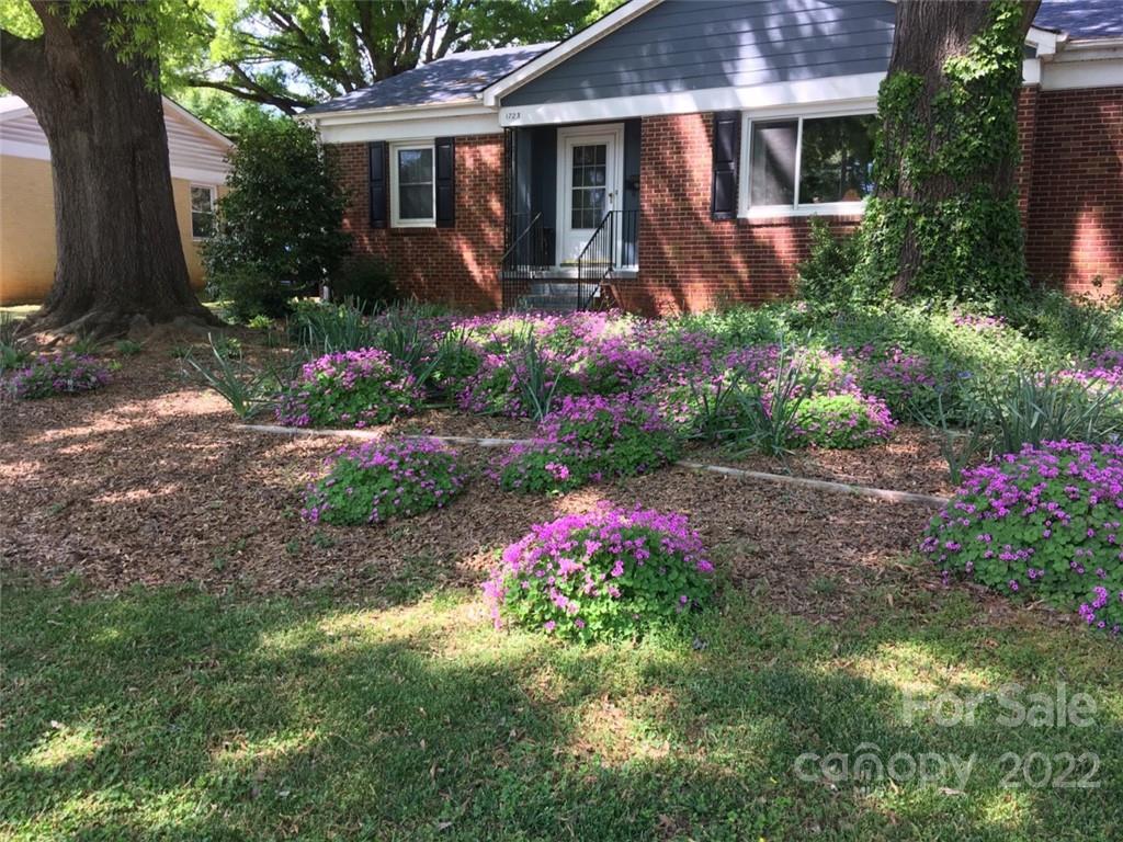 1723 Woodland Drive Charlotte NC 28205