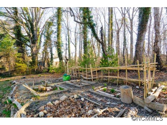 49 1/2 Forest Street Asheville NC 28803