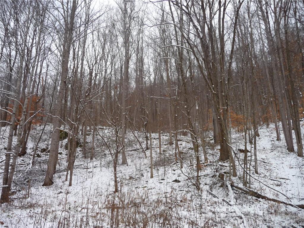 25 Martin Lane Barnardsville NC 28709