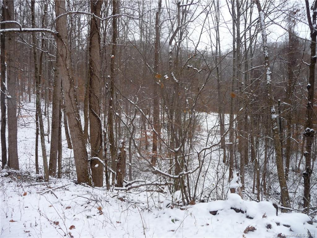 25 Martin Lane Barnardsville NC 28709