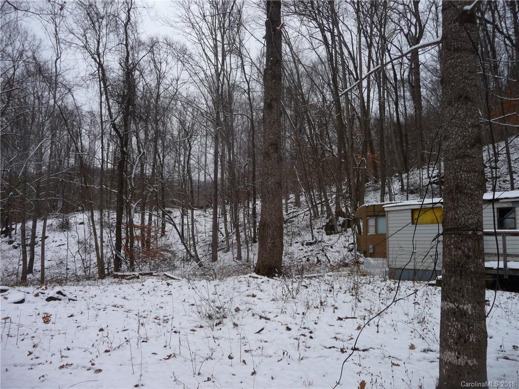 25 Martin Lane Barnardsville NC 28709