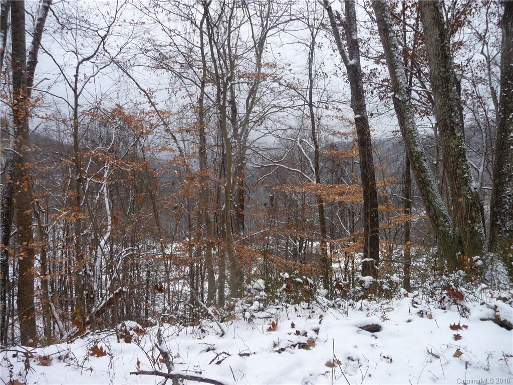 25 Martin Lane Barnardsville NC 28709