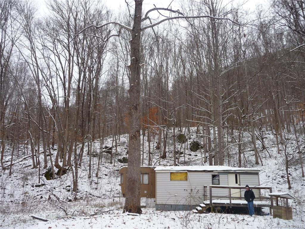 25 Martin Lane Barnardsville NC 28709