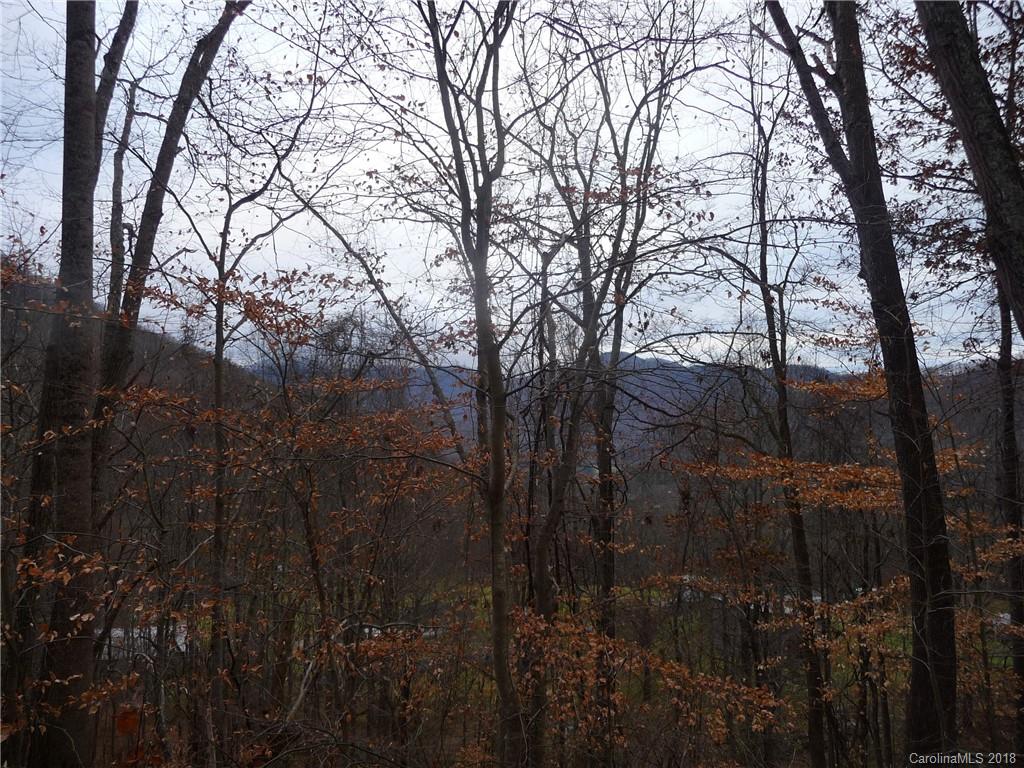 25 Martin Lane Barnardsville NC 28709
