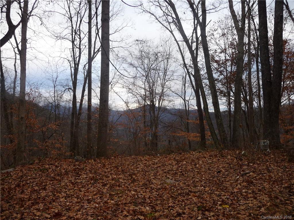 25 Martin Lane Barnardsville NC 28709