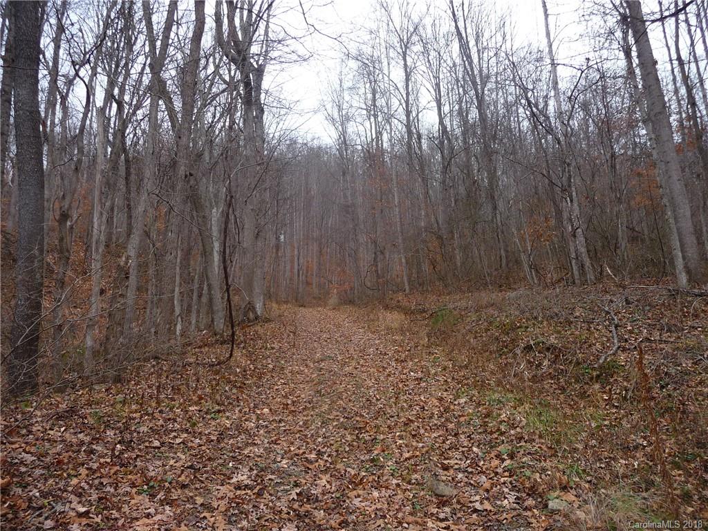 25 Martin Lane Barnardsville NC 28709