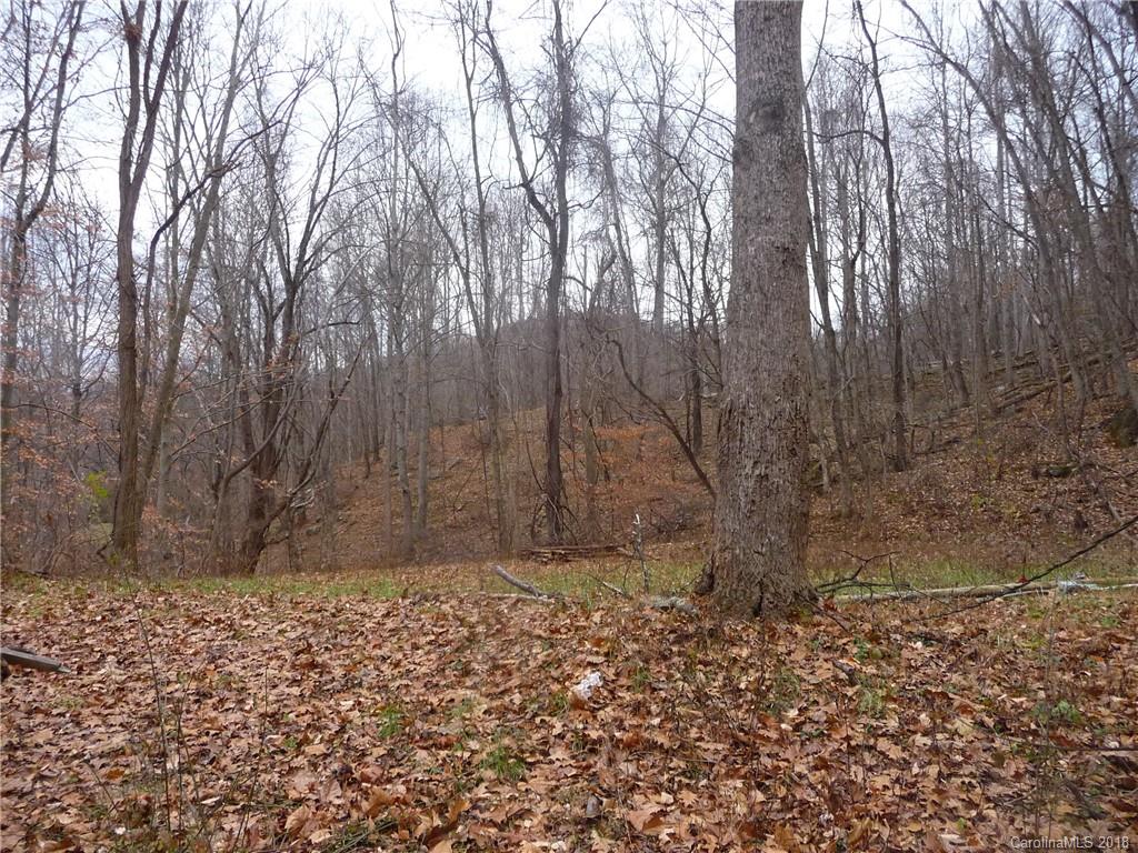 25 Martin Lane Barnardsville NC 28709