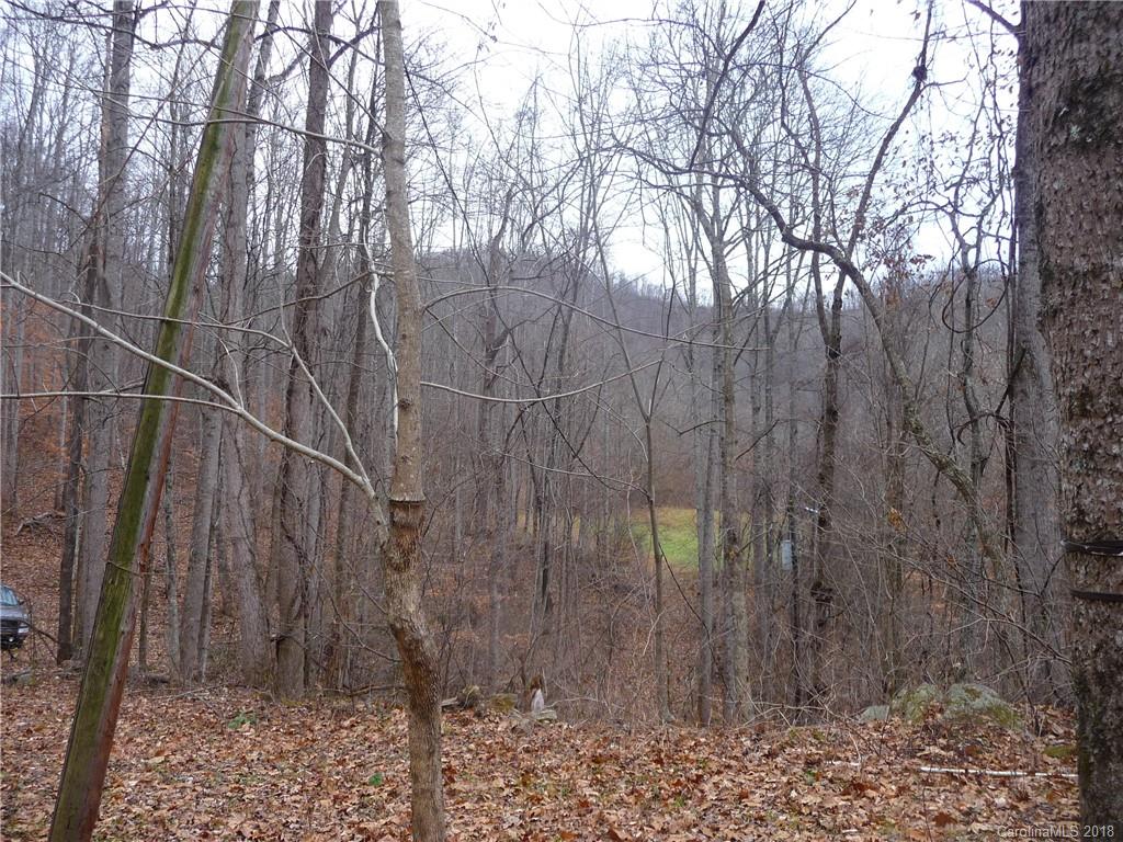 25 Martin Lane Barnardsville NC 28709