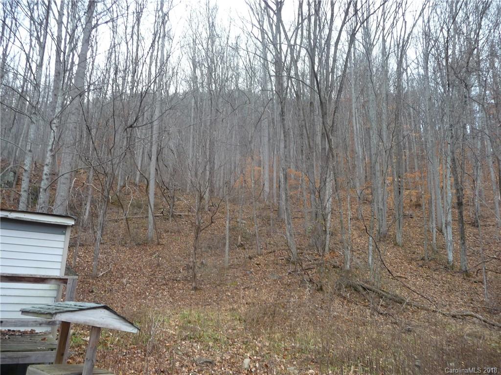 25 Martin Lane Barnardsville NC 28709