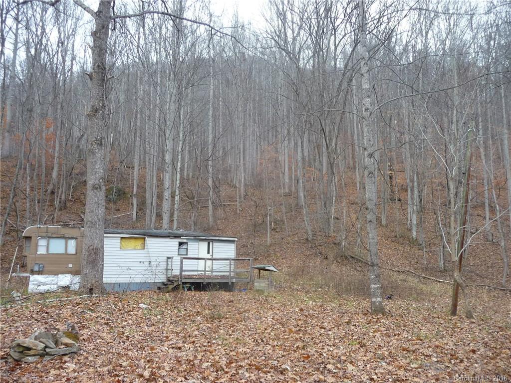 25 Martin Lane Barnardsville NC 28709