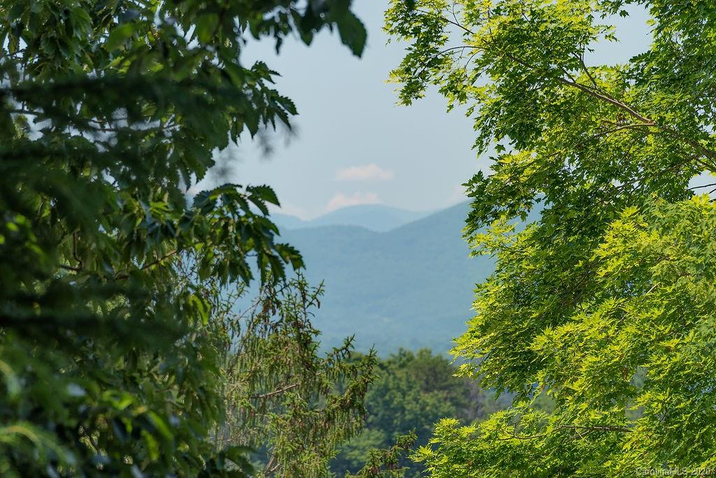 29 Wentworth Avenue Asheville NC 28803