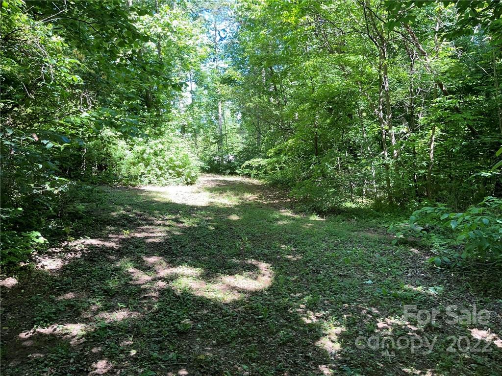 6135 Fox Gap Street Morganton NC 28655