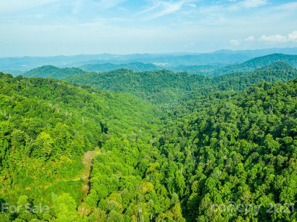 3845 Hamburg Road Mars Hill NC 28754