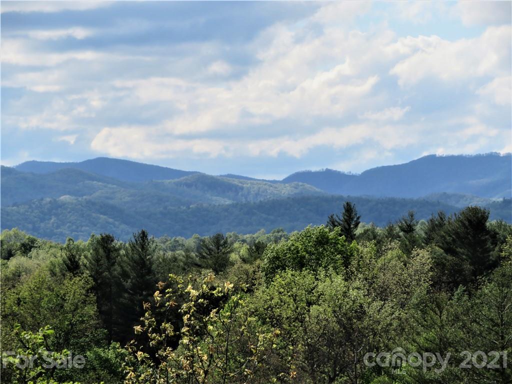 428 Dvdisdi Court Brevard NC 28712