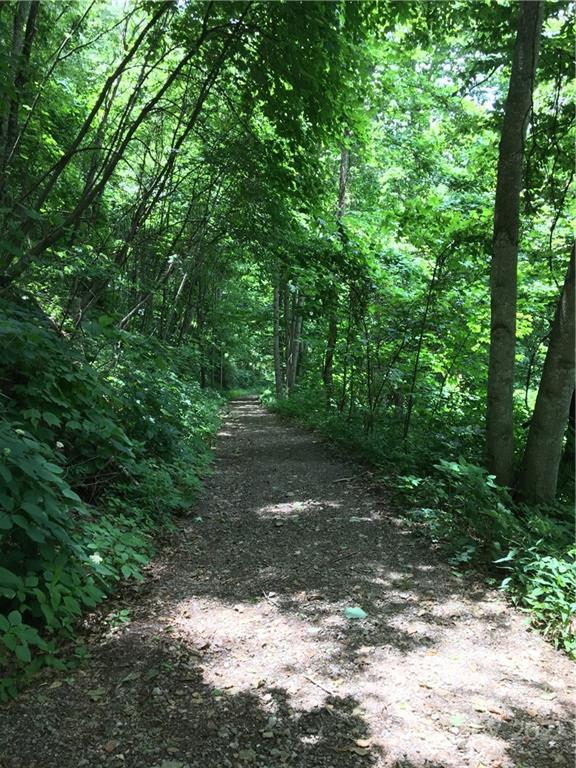Tbd Mcguires Ridge Waynesville NC 28786
