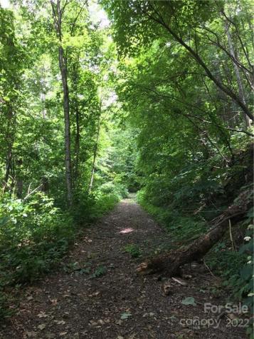 Tbd Mcguires Ridge Waynesville NC 28786