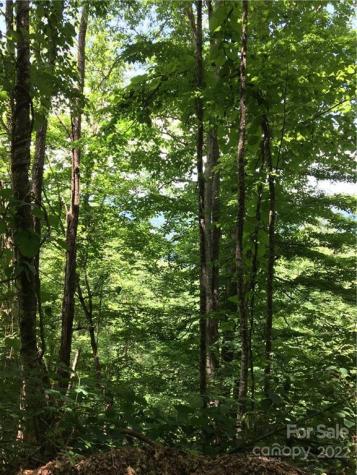 Tbd Mcguires Ridge Waynesville NC 28786