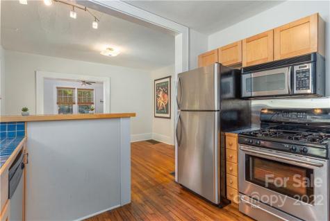 20 Chatham Road Asheville NC 28804