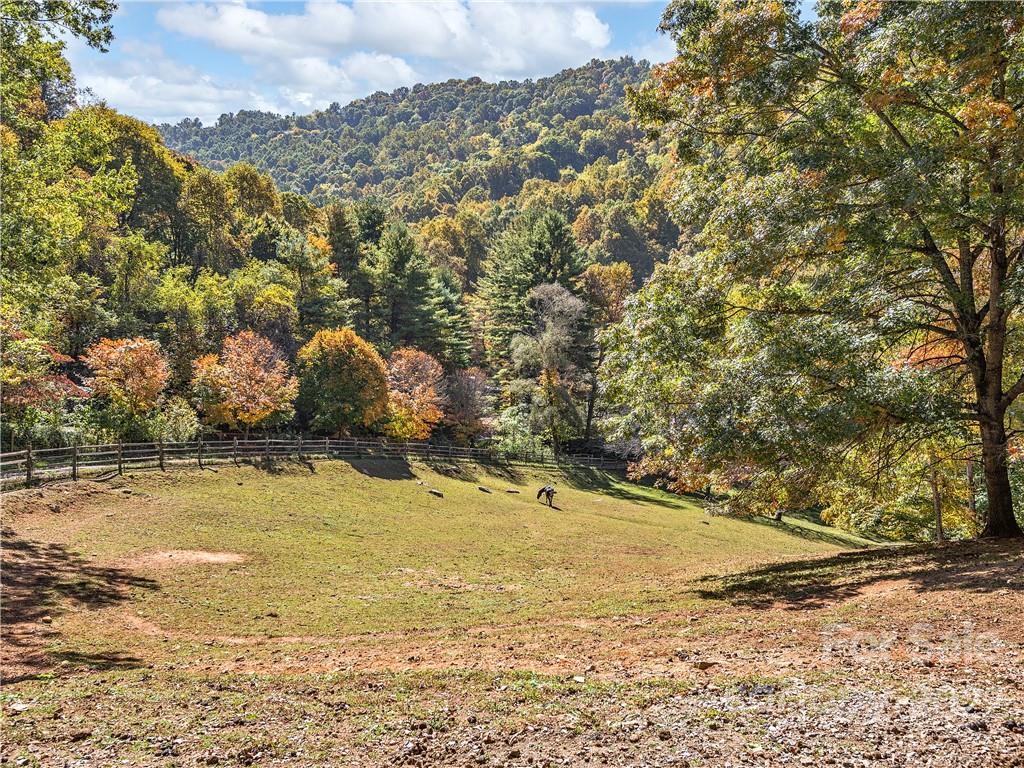 1989 Kims Cove Road Canton NC 28716