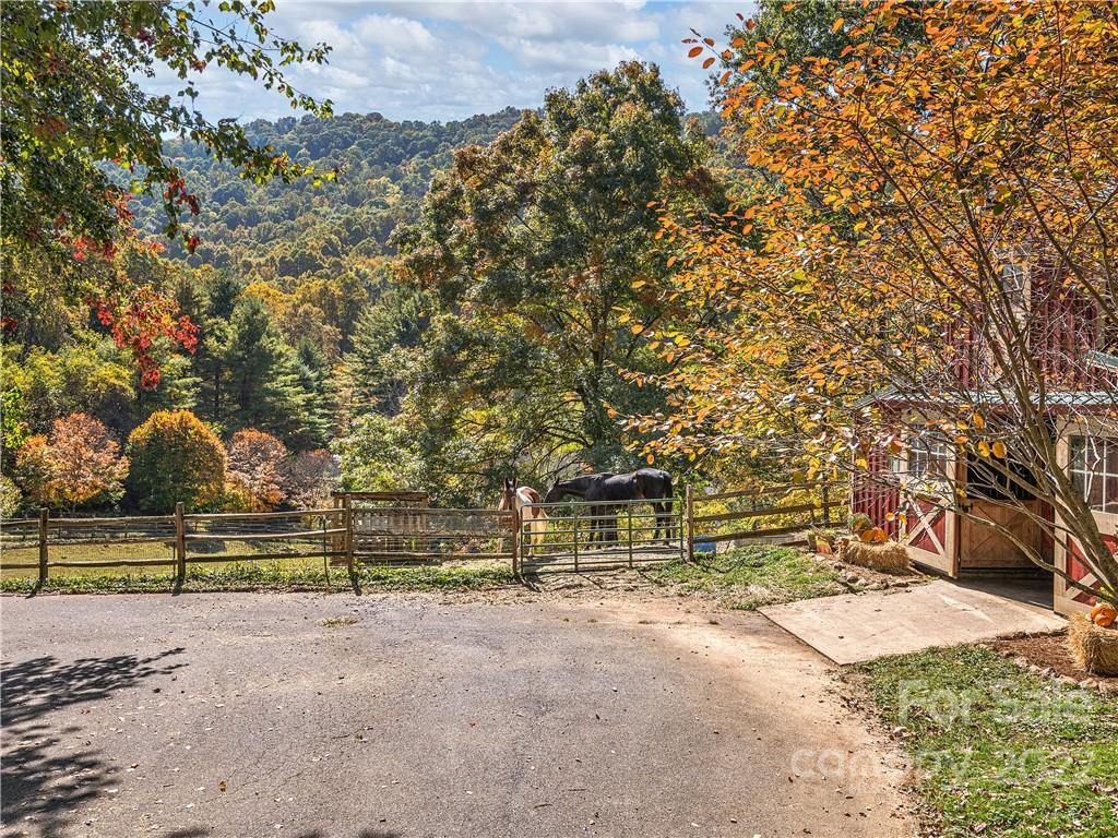 1989 Kims Cove Road Canton NC 28716