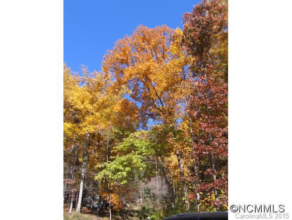 47 Lost Mountain Lane Asheville NC 28805