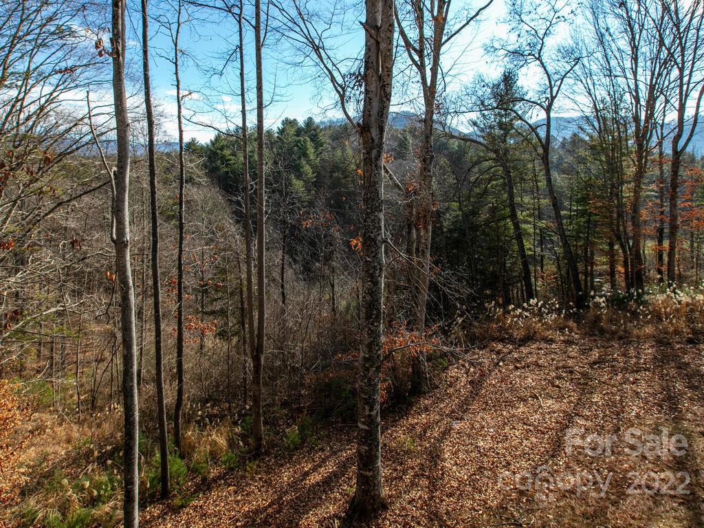 4 Ivywood Road Weaverville NC 28787