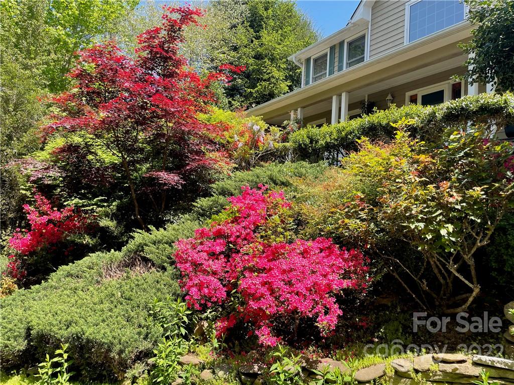 7 Glen Cable Road Asheville NC 28805