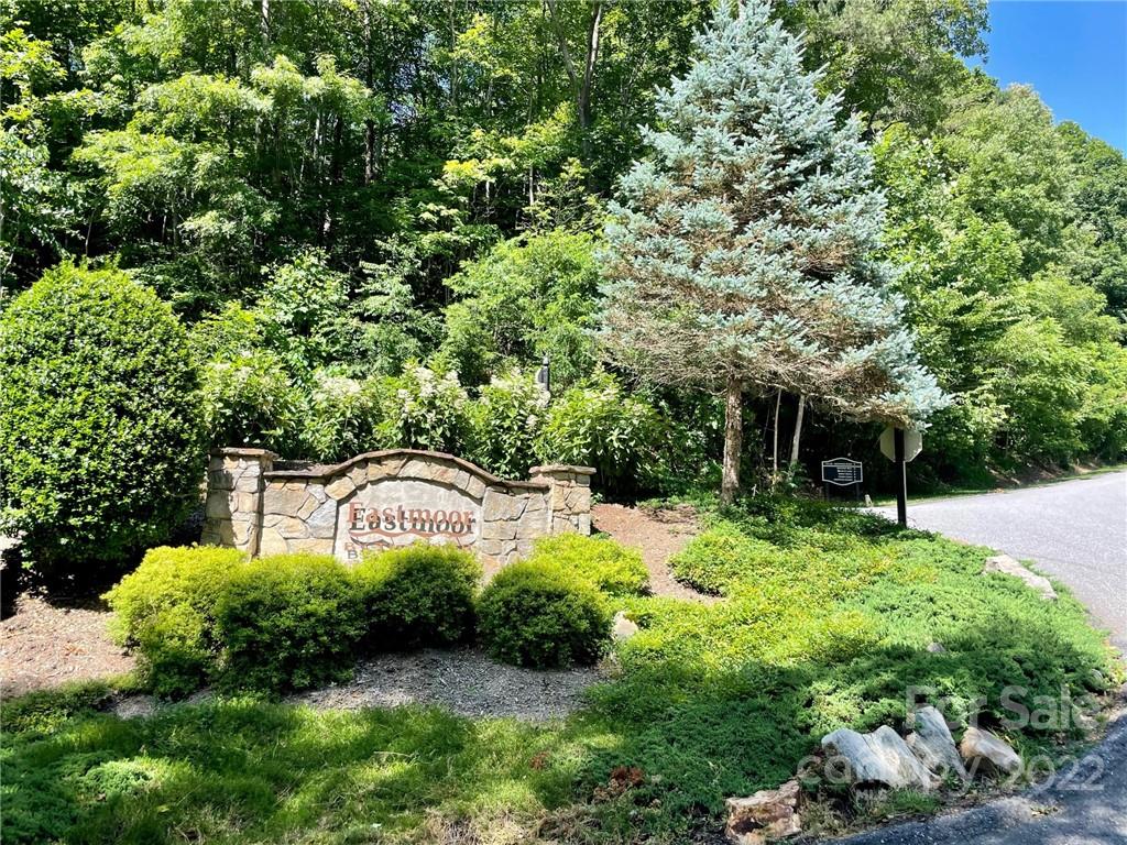 7 Glen Cable Road Asheville NC 28805