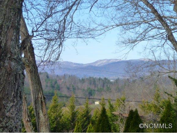 1793 Ivy Hill Road Marshall NC 28753
