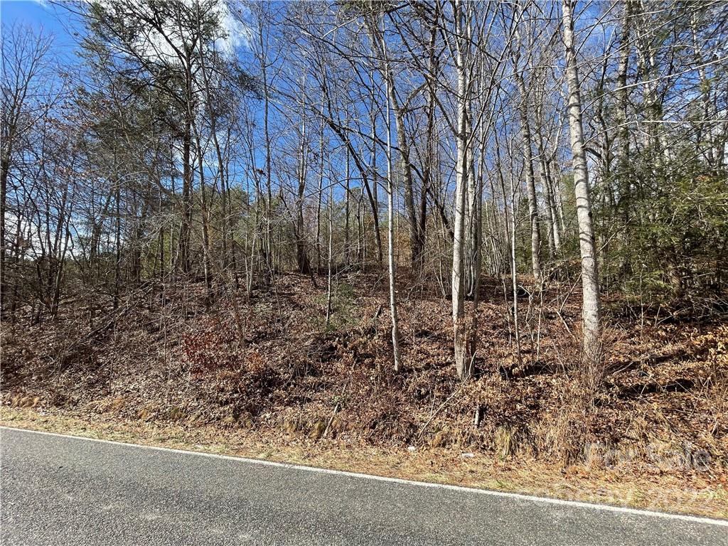 712 Harlowe Noblitt Road Old Fort NC 28762