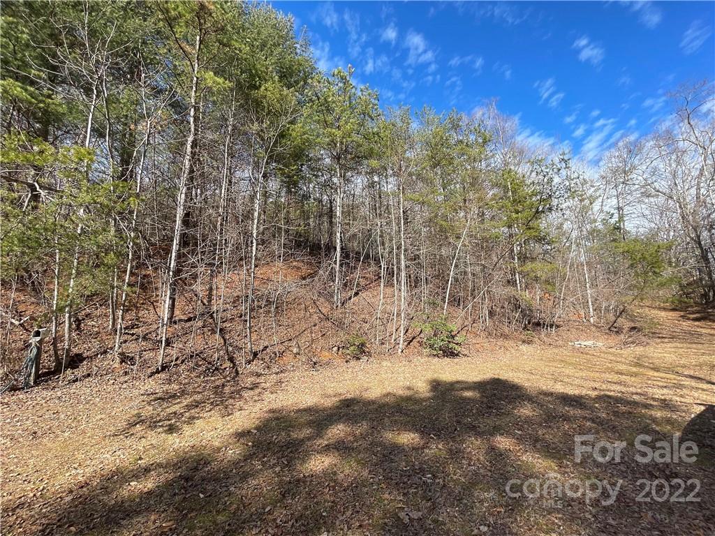 712 Harlowe Noblitt Road Old Fort NC 28762