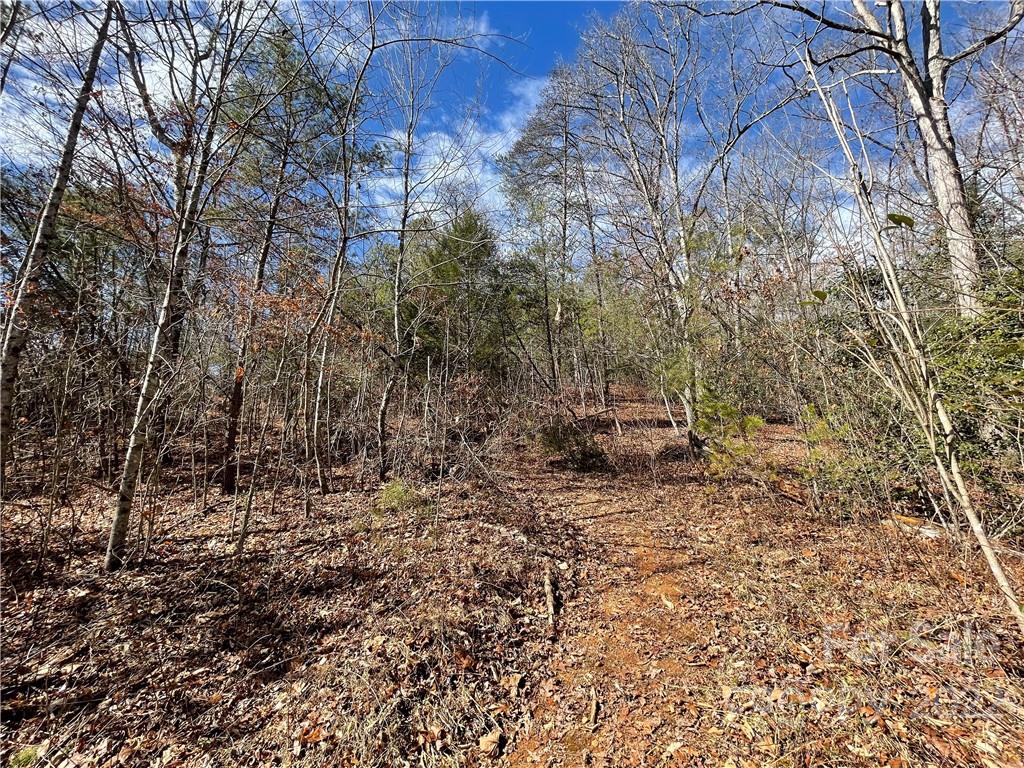 712 Harlowe Noblitt Road Old Fort NC 28762