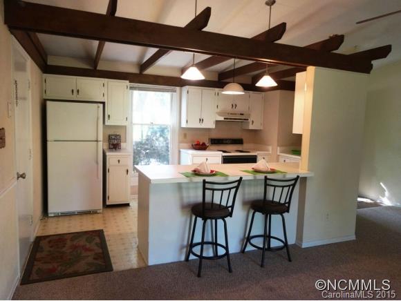 10 David Court Asheville NC 28806
