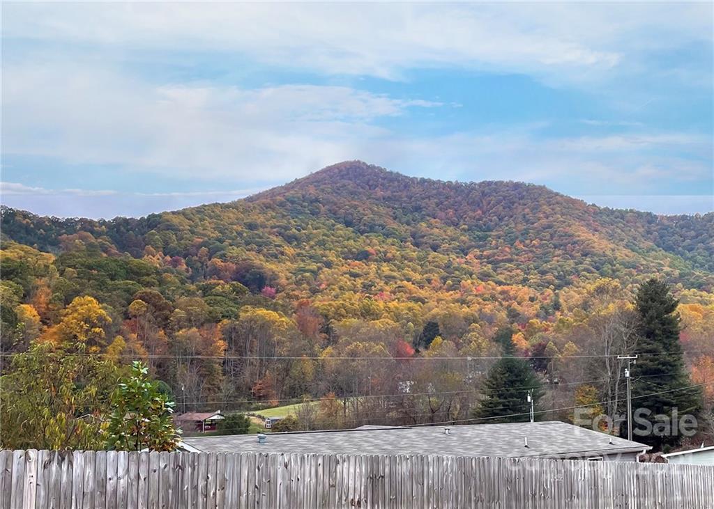 7 County Cork Way Candler NC 28715