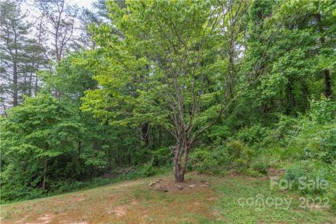 74 Gibson Road Asheville NC 28804