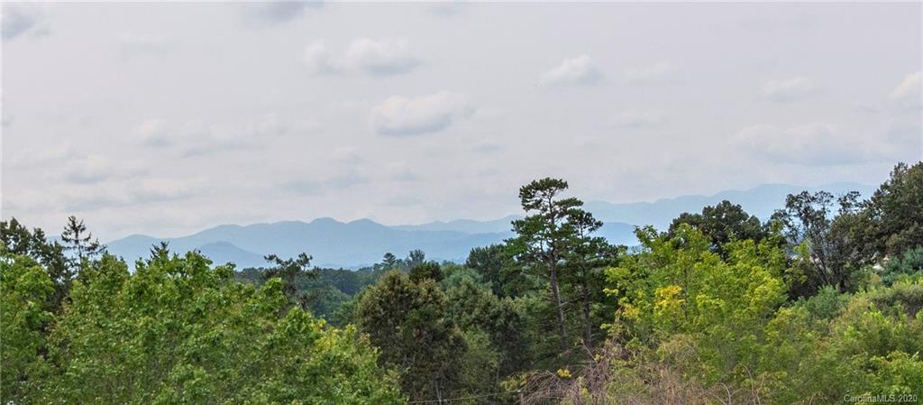 20 Coleman Street Weaverville NC 28787