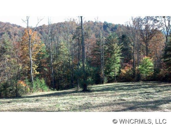 47 Jones Cove Road Asheville NC 28805