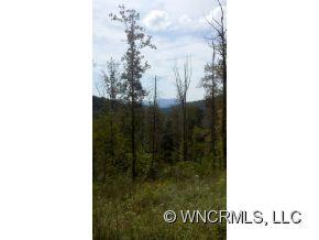 47 Jones Cove Road Asheville NC 28805