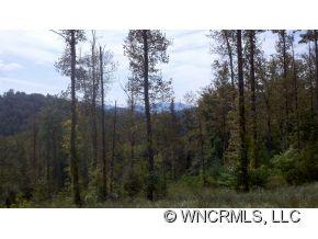 47 Jones Cove Road Asheville NC 28805