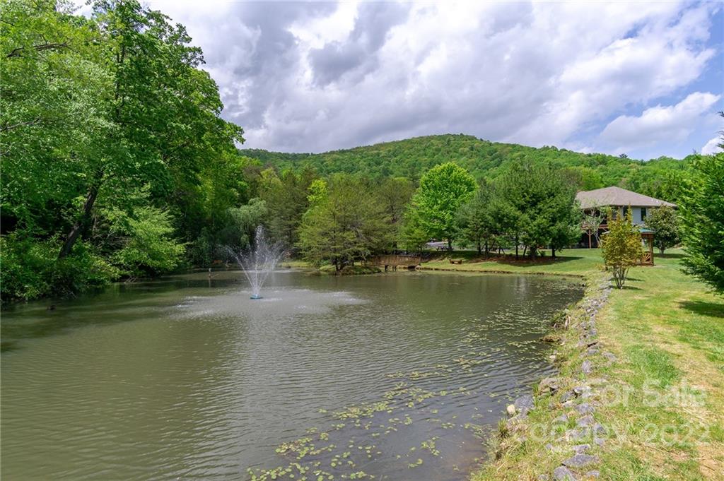 10 Heron Pond Lane Asheville NC 28805
