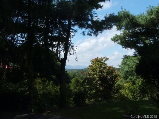 60 Goodman Road Asheville NC 28804