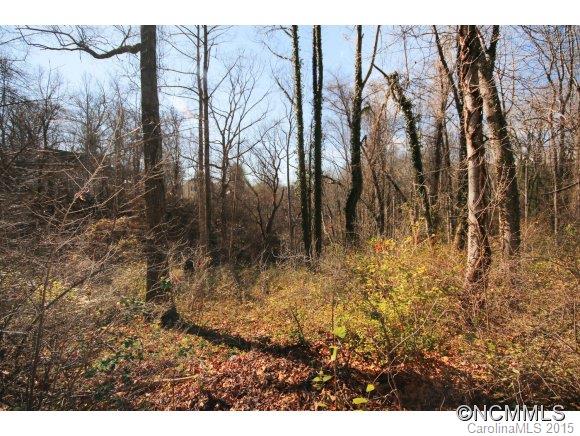 320 Pearson Drive Asheville NC 28801