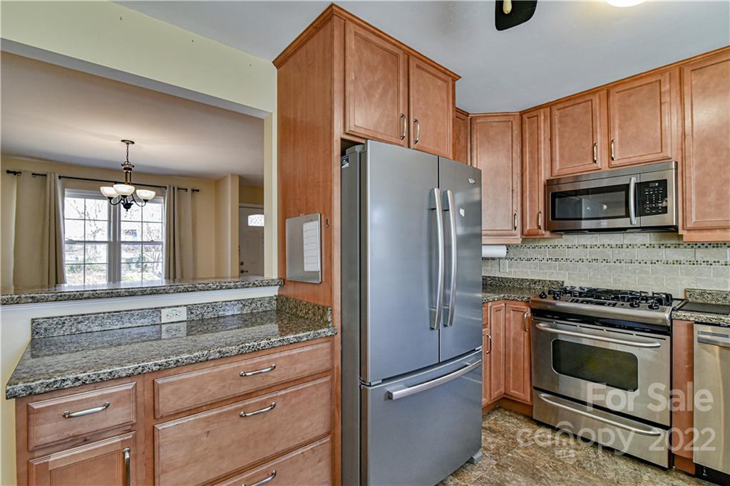 236 Richmond Hill Drive Asheville NC 28806